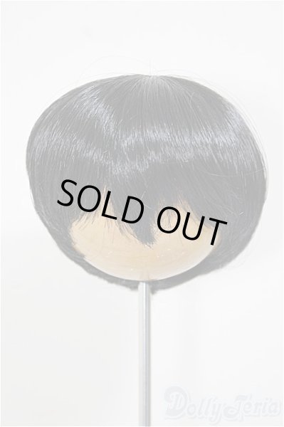 画像1: 8-9inch/ウィッグ/インチ　BJD　MJD　ドール用 A-25-11-05-182-NY-ZA (1)