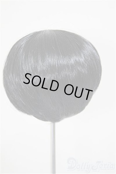 画像2: 8-9inch/ウィッグ/インチ　BJD　MJD　ドール用 A-25-11-05-182-NY-ZA (2)