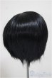 画像2: 8-9inch/ウィッグ/インチ　BJD　MJD　ドール用 A-25-11-05-180-NY-ZA (2)