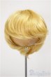 画像1: 8-9inch/ウィッグ/インチ　BJD　MJD　ドール用 A-25-11-05-169-NY-ZA (1)