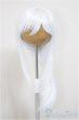 画像1: 7-8inch/ウィッグ/インチ　BJD　MJD　ドール用 A-25-11-05-184-NY-ZA (1)