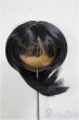 画像1: 8.5-9inch/ウィッグ/インチ　BJD　MJD　ドール用 A-25-11-05-186-NY-ZA (1)