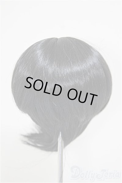 画像2: 8.5-9inch/ウィッグ/インチ　BJD　MJD　ドール用 A-25-11-05-186-NY-ZA (2)