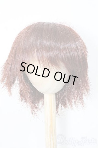 画像1: 9inch/ウィッグ　インソムニア様製/インチ　BJD　MJD　ドール用 A-25-11-05-361-NY-ZA (1)