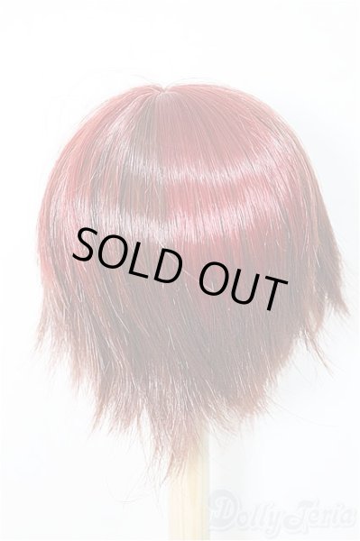 画像2: 9inch/ウィッグ　インソムニア様製/インチ　BJD　MJD　ドール用 A-25-11-05-361-NY-ZA (2)