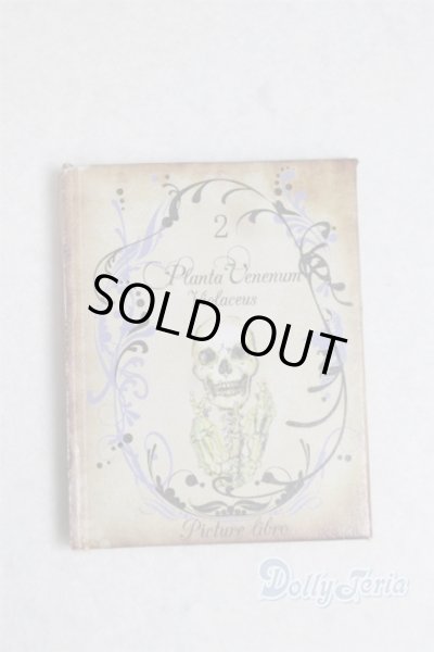 画像1: SD/豆本/0 A-25-11-12-065-NY-ZA (1)