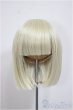 画像1: 7-8inch/ウィッグ/インチ　BJD　MJD　ドール用 A-25-11-5-326-NY-ZA (1)