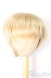 画像1: 9-10inch/ウィッグ/インチ　BJD　MJD　ドール用 A-25-11-05-356-NY-ZA (1)