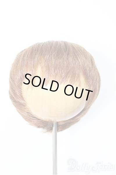 画像1: 8-9nch/ウィッグ 　CROBI製/インチ　BJD　MJD　ドール用 A-25-11-05-354-NY-ZA (1)