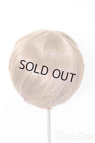 画像2: 8-9nch/ウィッグ 　CROBI製/インチ　BJD　MJD　ドール用 A-25-11-05-354-NY-ZA (2)