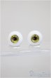 画像1: 16ｍｍ/石膏レジンアイ/ドール用　アイ A-25-10-29-344-NY-ZA (1)