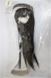 画像1: 8-9inch/ウィッグ/インチ　BJD　MJD　ドール用 A-25-11-5-251-TN-ZA (1)