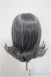 画像2: 8-9inch/ウィッグ/インチ　BJD　MJD　ドール用 A-25-11-05-205-TN-ZA (2)