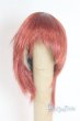 画像1: 6-7inch/ウィッグ/インチ　BJD　MJD　ドール用 A-25-11-12-068-NY-ZA (1)