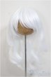 画像1: 8-9inch/ウィッグ/インチ　BJD　MJD　ドール用 A-25-11-5-322-NY-ZA (1)