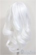 画像2: 8-9inch/ウィッグ/インチ　BJD　MJD　ドール用 A-25-11-5-322-NY-ZA (2)