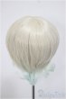 画像2: 9inch/MIMIEL様製 ウィッグ/インチ　BJD　MJD　ドール用 A-25-11-5-313-NY-ZA (2)