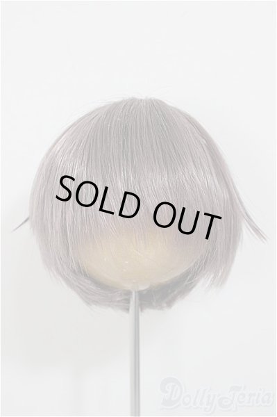 画像1: 9inch/ウィッグ/インチ　BJD　MJD　ドール用 A-25-11-12-196-NY-ZA (1)