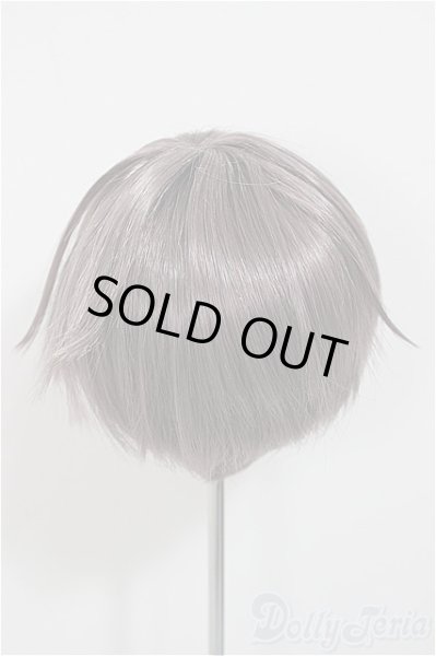 画像2: 9inch/ウィッグ/インチ　BJD　MJD　ドール用 A-25-11-12-196-NY-ZA (2)