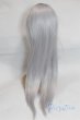画像2: 9inch/ウィッグ/インチ　BJD　MJD　ドール用 A-25-11-12-088-NY-ZA (2)