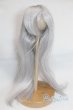 画像1: 9inch/ウィッグ/インチ　BJD　MJD　ドール用 A-25-11-12-087-NY-ZA (1)