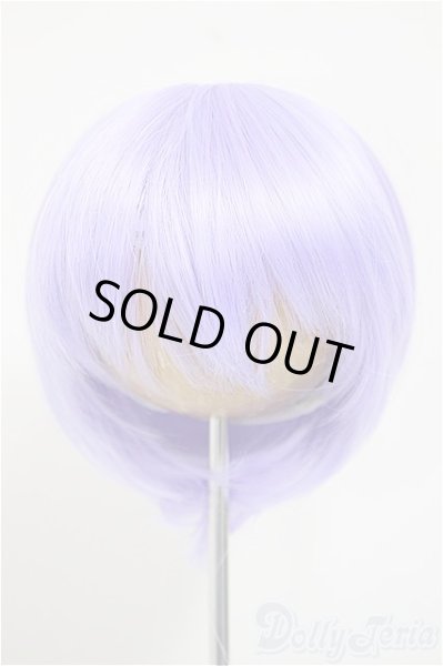 画像1: 8-9inch/ウィッグ/インチ　BJD　MJD　ドール用 A-25-11-12-251-NY-ZA (1)