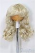 画像1: 6-7inch/ウィッグ/インチ　BJD　MJD　ドール用 A-25-11-12-379-NY-ZA (1)