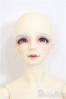 画像1: SDGr男の子/F-74　オーダーメイク/BJD　球体関節人形 A-25-11-12-360-NY-ZA (1)