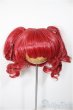 画像1: 8-9inch/ウィッグ/インチ　BJD　MJD　ドール用 A-25-11-19-145-NY-ZA (1)