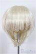 画像1: 7-8inch/ウィッグ/インチ　BJD　MJD　ドール用 A-25-11-19-116-NY-ZA (1)