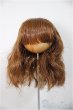 画像1: 7-8inch/ウィッグ/インチ　BJD　MJD　ドール用 A-25-11-19-115-NY-ZA (1)