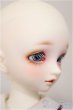 画像3: SDM女の子/コーディネートモデルF-62/BJD　球体関節人形 A-25-11-19-253-NY-ZA (3)