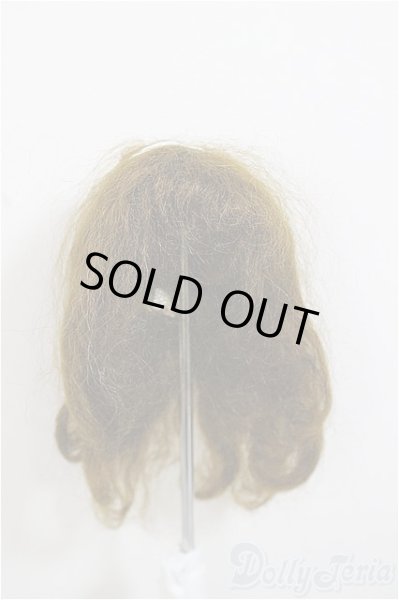 画像1: 6-7inch/ウィッグ/インチ　BJD　MJD　ドール用 A-25-11-19-366-NY-ZA (1)