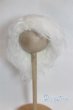 画像1: 8-9inch/ウィッグ/インチ　BJD　MJD　ドール用 A-25-11-26-093-NY-ZA (1)