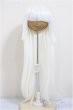 画像1: 9inch/ウィッグ/インチ　BJD　MJD　ドール用 A-25-11-26-273-NY-ZA (1)