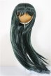 画像1: 9-10inch/ウィッグ　DOLLCE製/インチ　BJD　MJD　ドール用 A-25-12-03-117-NY-ZA (1)