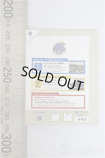 画像2: SD/豆本/0 A-25-12-03-234-NY-ZA (2)