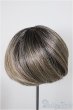 画像2: 8-9inch/ウィッグ/インチ　BJD　MJD　ドール用 A-25-12-03-130-NY-ZA (2)