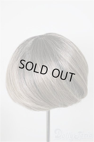 画像2: 8-9inch/ウィッグ/インチ　BJD　MJD　ドール用 A-25-12-03-130-NY-ZA (2)