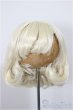 画像1: 9-10inch/ウィッグ/インチ　BJD　MJD　ドール用 A-25-12-03-137-NY-ZA (1)