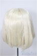 画像2: 9-10inch/ウィッグ/インチ　BJD　MJD　ドール用 A-25-12-03-137-NY-ZA (2)