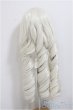 画像2: 8-9inch/ウィッグ/インチ　BJD　MJD　ドール用 A-25-12-03-263-NY-ZA (2)