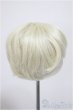 画像2: 7-8inch/ウィッグ/インチ　BJD　MJD　ドール用 A-25-12-03-264-NY-ZA (2)