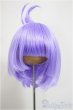 画像1: 8-9inch/ウィッグ/インチ　BJD　MJD　ドール用 A-25-12-03-274-NY-ZA (1)