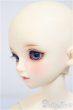 画像4: SDM女の子/コーディネートモデルF-58/BJD　球体関節人形 A-25-12-03-302-NY-ZA (4)