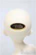 画像5: SDM女の子/コーディネートモデルF-58/BJD　球体関節人形 A-25-12-03-302-NY-ZA (5)