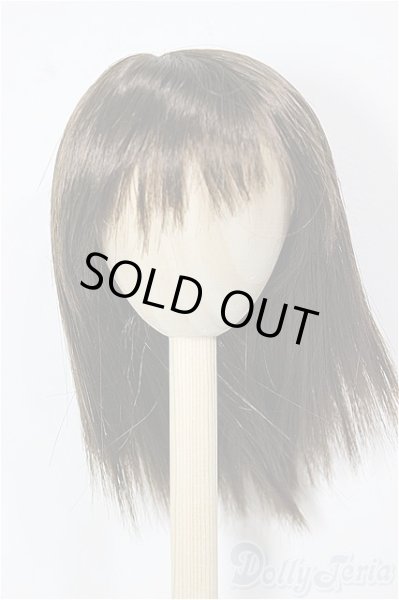 画像1: 9-10inch/ウィッグ/インチ　BJD　MJD　ドール用 A-25-12-03-375-NY-ZA (1)