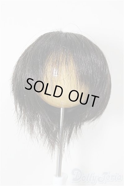 画像1: 7-8inch/ウィッグ/インチ　BJD　MJD　ドール用 A-25-12-03-372-NY-ZA (1)