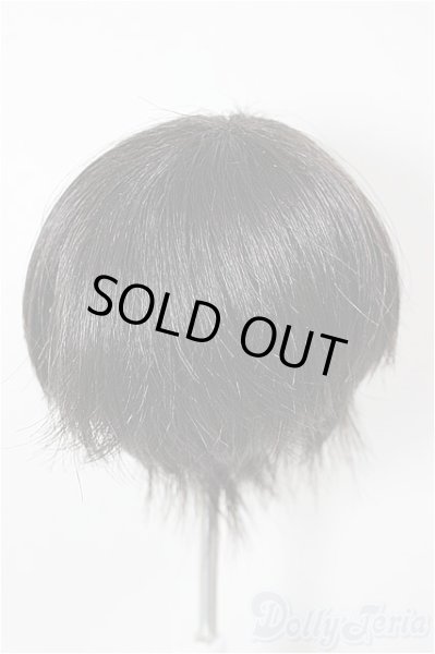 画像2: 7-8inch/ウィッグ/インチ　BJD　MJD　ドール用 A-25-12-03-372-NY-ZA (2)