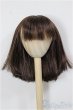 画像1: 9-10inch/ウィッグ/インチ　BJD　MJD　ドール用 A-25-12-03-376-NY-ZA (1)